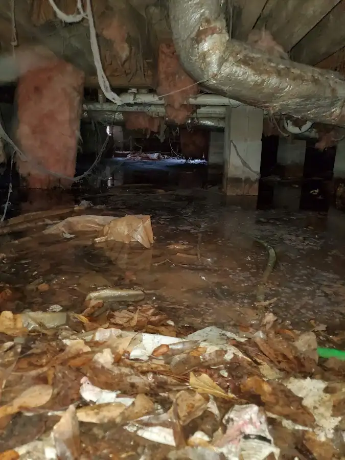 Crawl space flood assessment for Commercial Water Damage Restoration in Monona