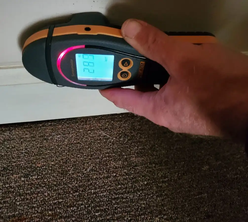 Moisture detection at baseboard during Sewage Cleanup & Sanitation in Monona